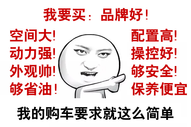 買(mǎi)車(chē)完美主義型