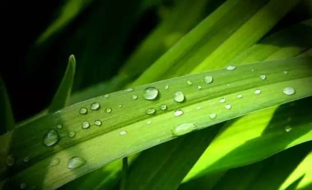 白露丨與CR-V一起，品味秋天的氣息