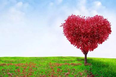 愛心灑人間，走進新時代..........倒計時兩天