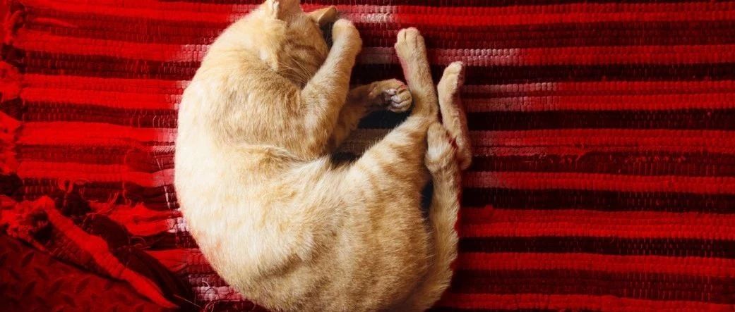 人類(lèi)發(fā)展的動(dòng)力，除了懶，還有對(duì)舒適的追求