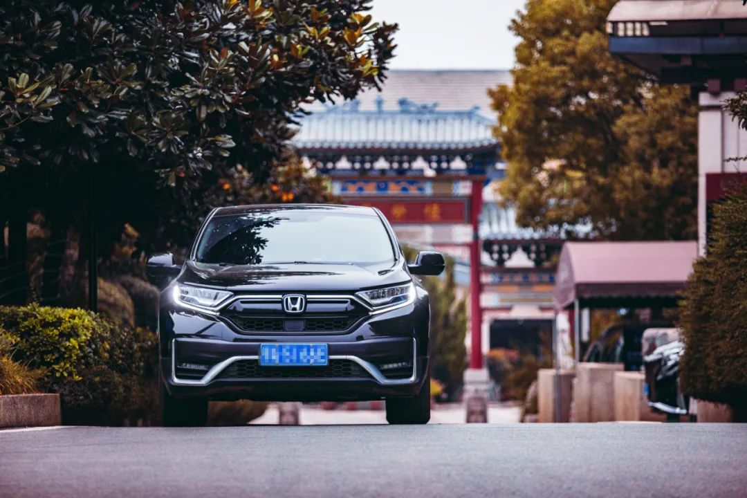 本人有料 | 愿歷經(jīng)千帆，歸來仍是少年